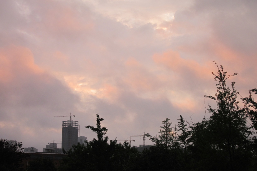 ʺ2514.jpg