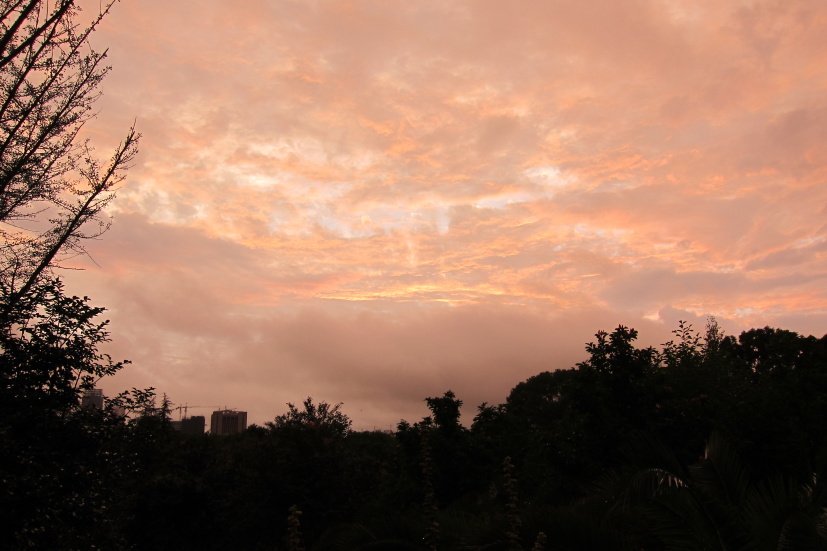 ʺ25131.jpg
