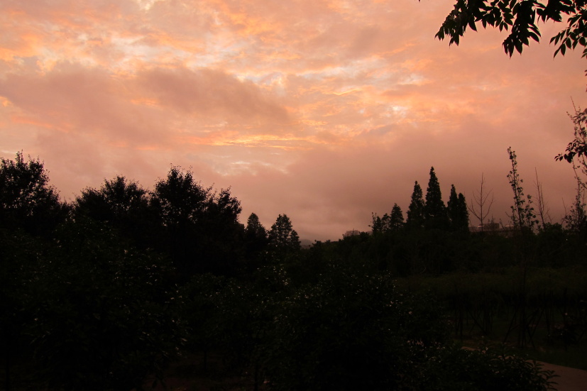ʺ25129.jpg