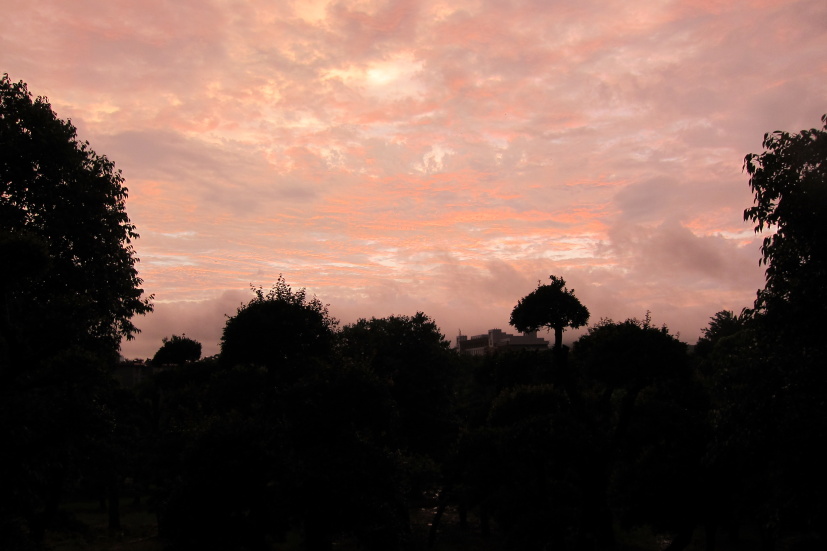 ʺ25137.jpg