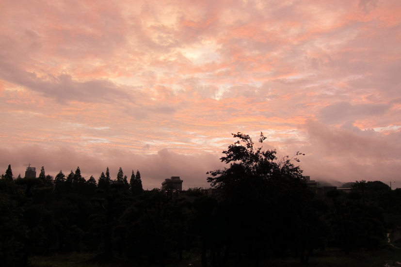 ʺ25135.jpg