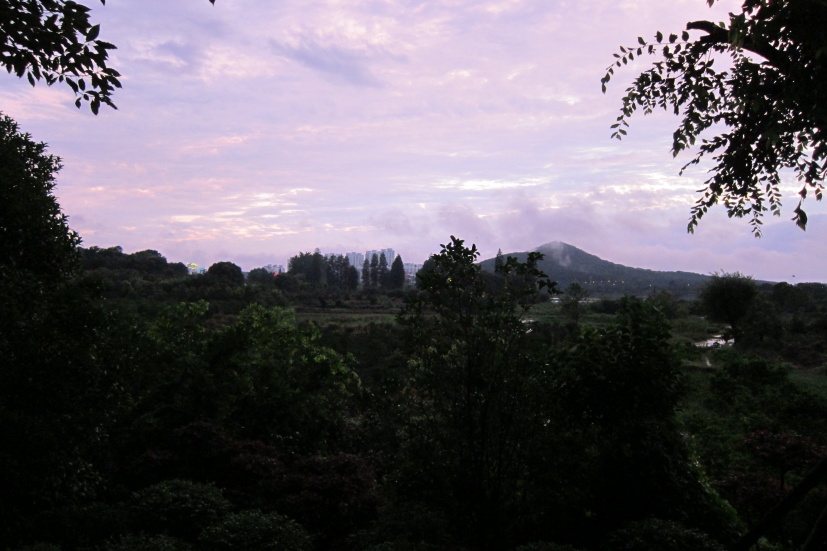 ʺ25141.jpg