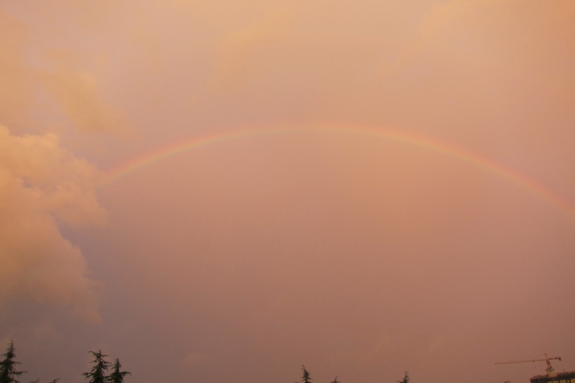 ʺ25114.jpg