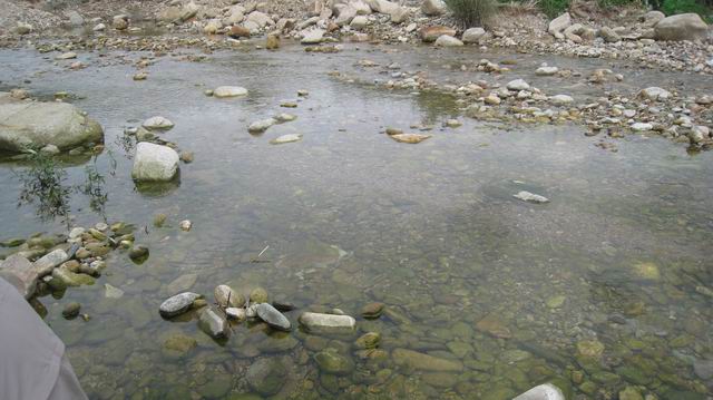 С Ƭ 025.jpg