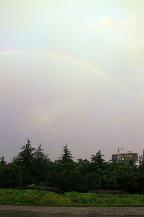 201162421494472927.jpg