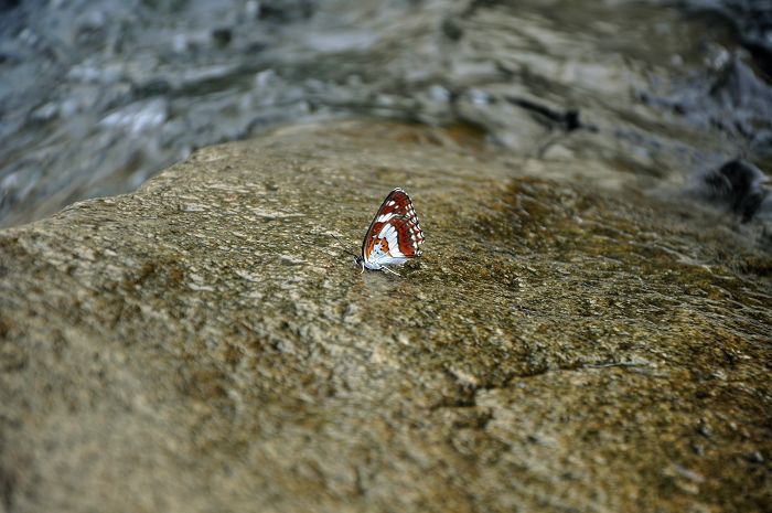 dsc_0052.jpg
