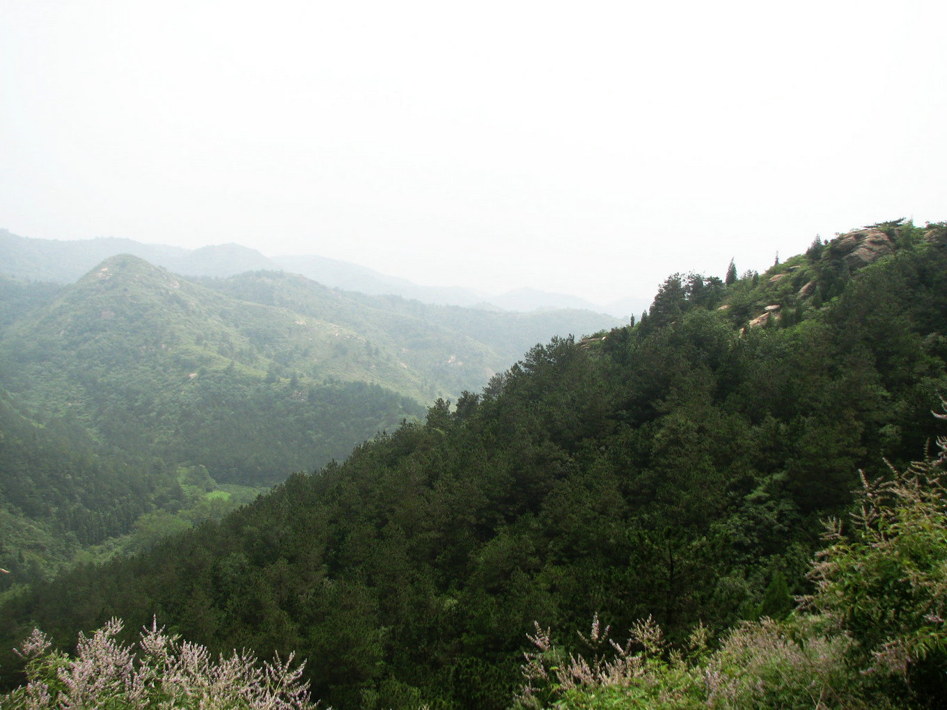 Ů 104.jpg