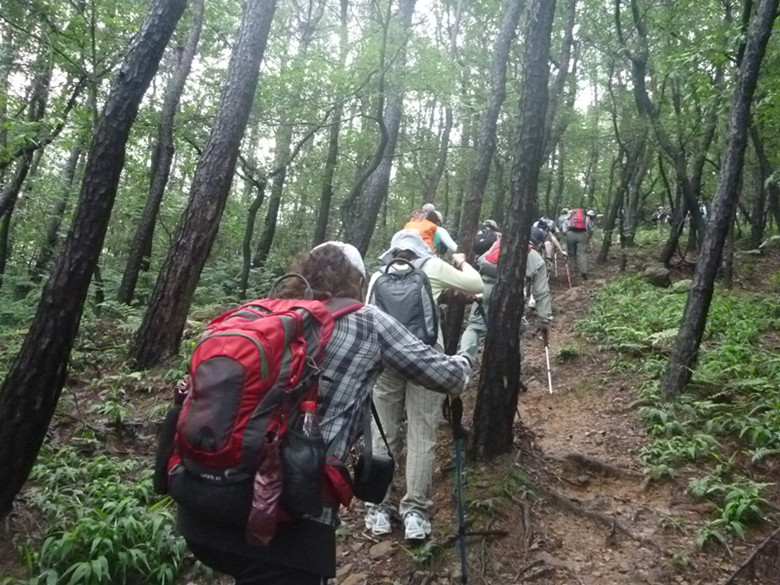 p1060993_.jpg