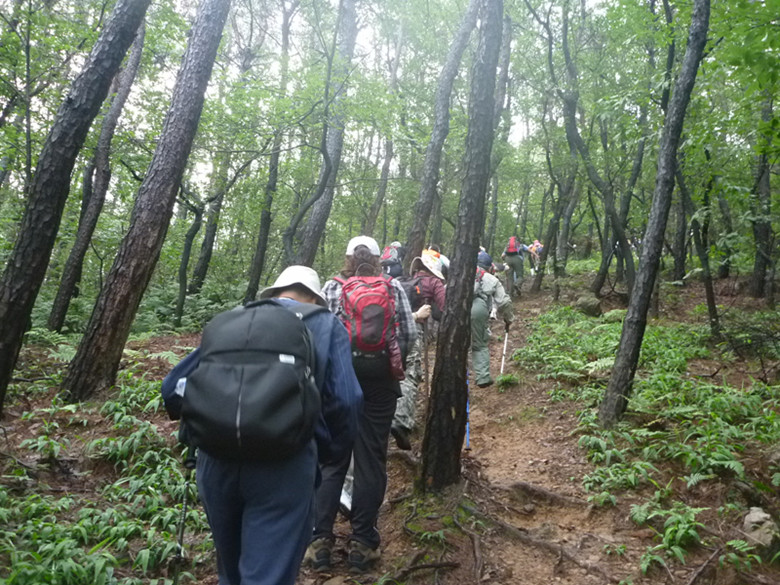 p1060994_.jpg