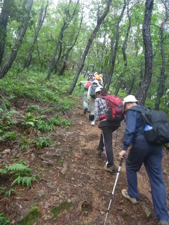 p1060995_.jpg