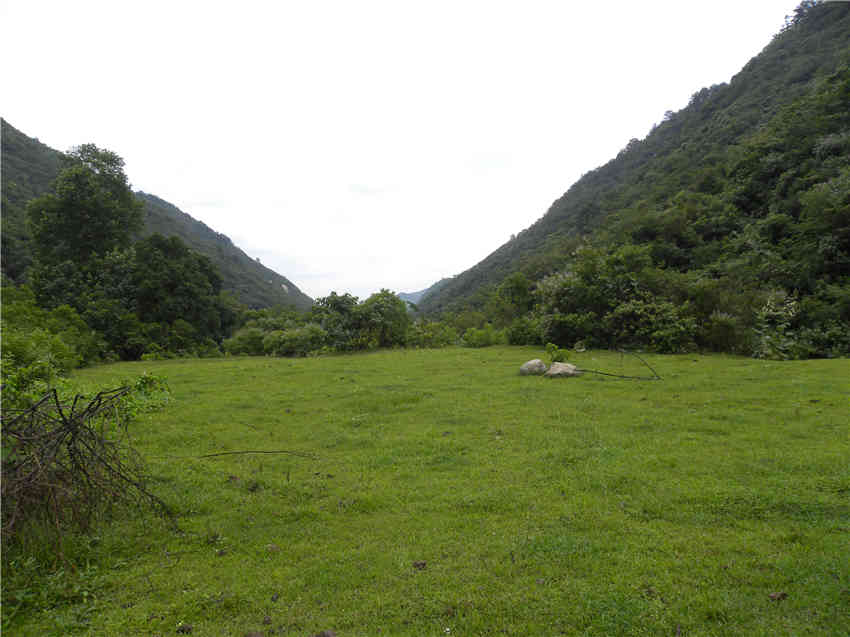Ƭ 064_.jpg