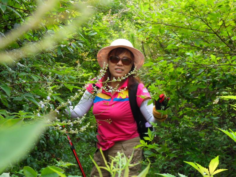 sdc10021.jpg