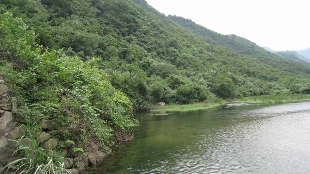 С Ƭ 063.jpg