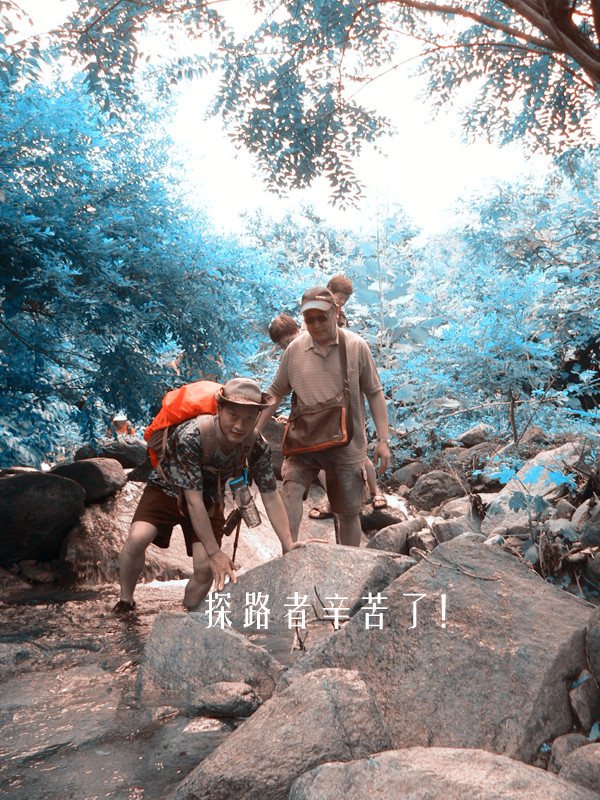 p1080768_.jpg