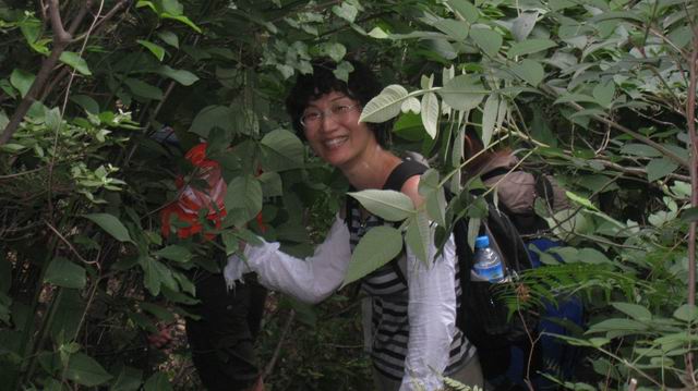 С Ƭ 090.jpg