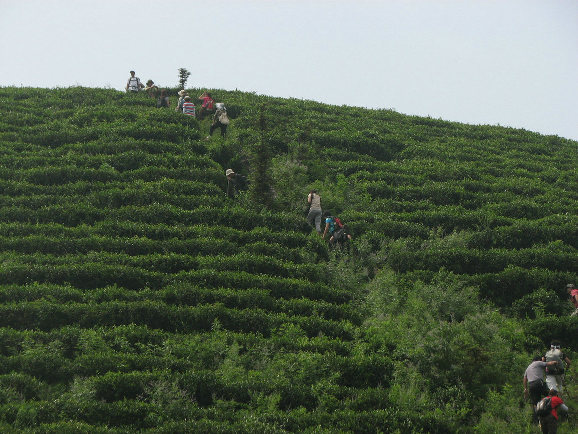 Ů 140.jpg