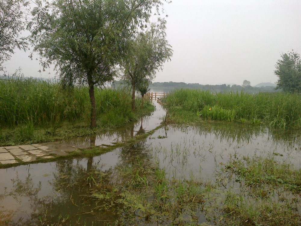 20110627866.jpg