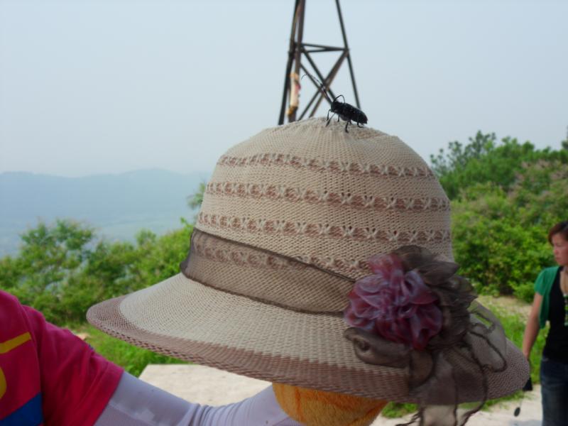 sdc10043.jpg
