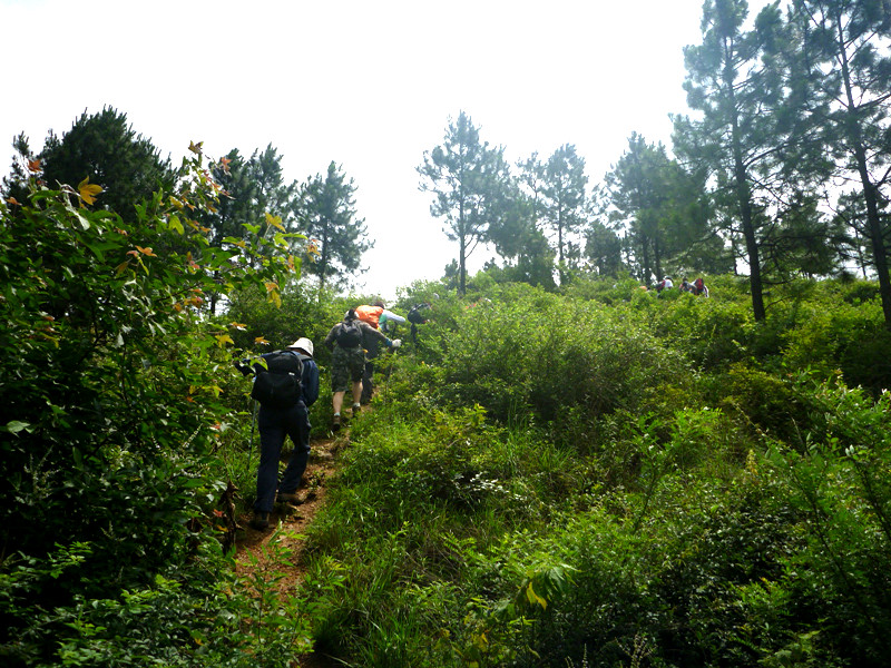 p1070009_.jpg