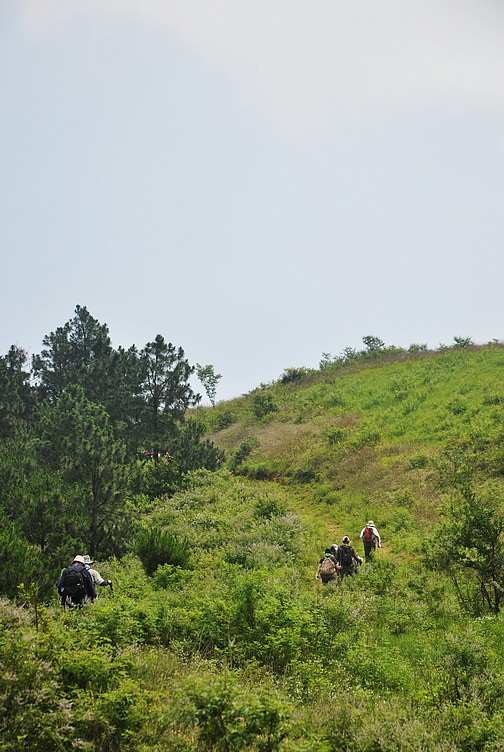 dsc_1118.jpg