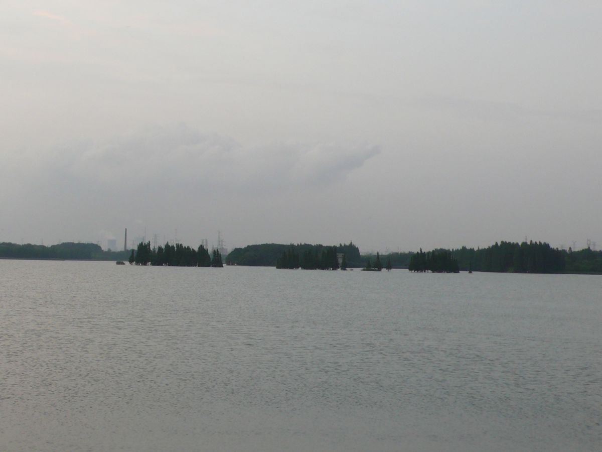 l1100850.jpg