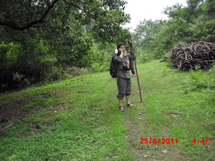 cimg2533.jpg