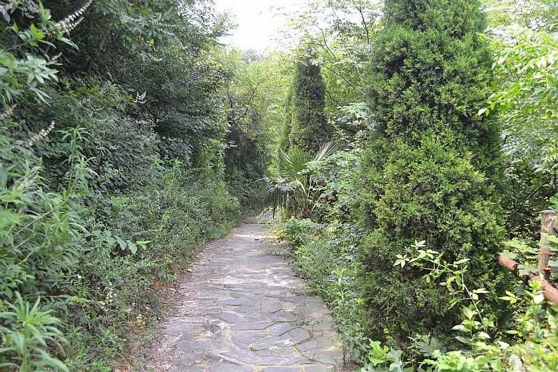 news_2011629942311.jpg