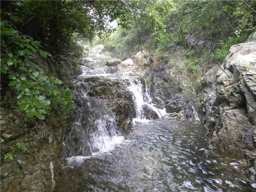 Ƭ 076_.jpg