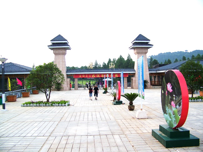 100_4787.jpg