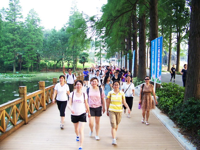 100_4800.jpg