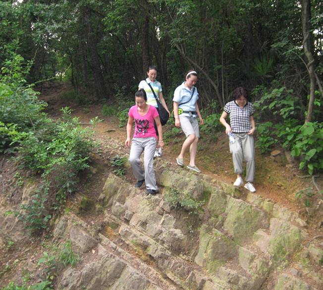 img_0809_1.jpg