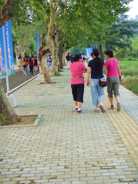 dsc01678.jpg