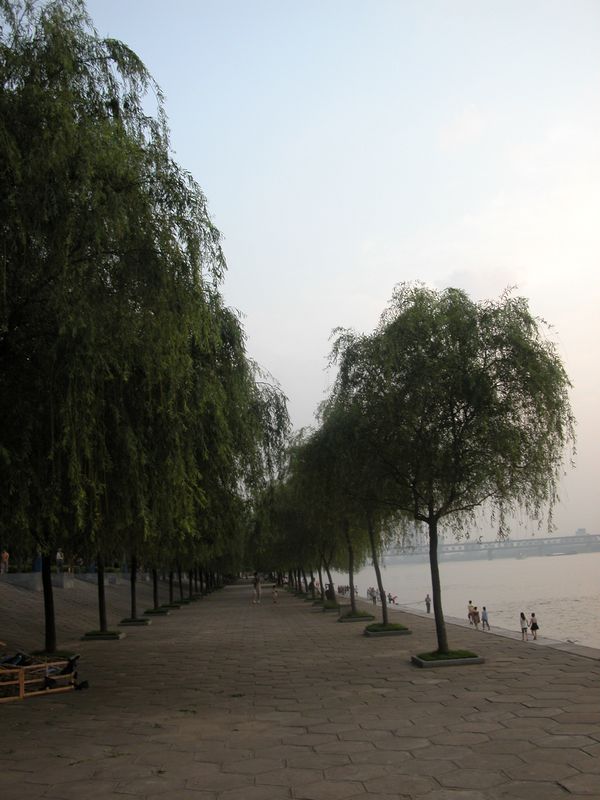 dscn2326.jpg