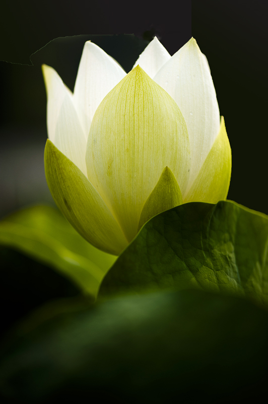 dsc_6906a.jpg
