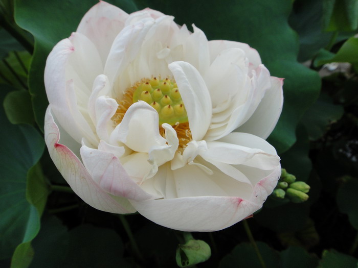 dsc00438.jpg