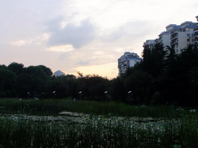 dscf5015.jpg