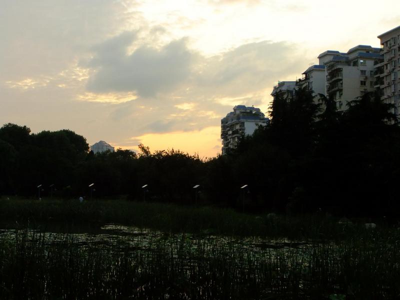 dscf5016.jpg