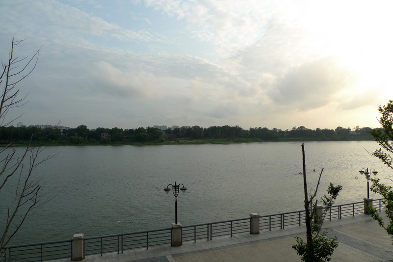 p1030038.jpg