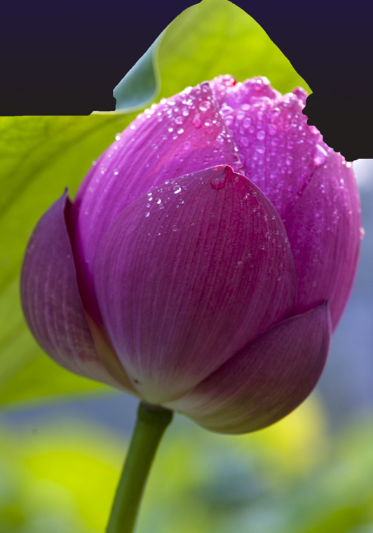 dsc_6886a.jpg