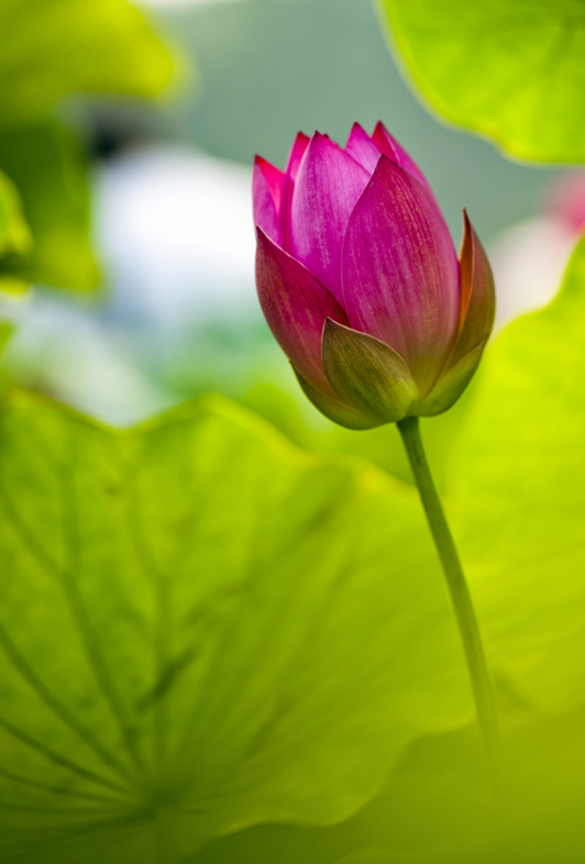 dsc_6891a.jpg