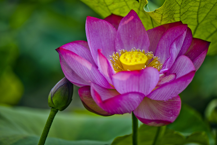 dsc_6892a.jpg