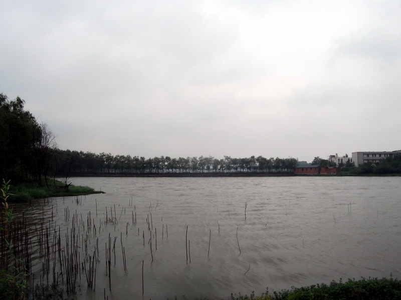dscf1130.jpg