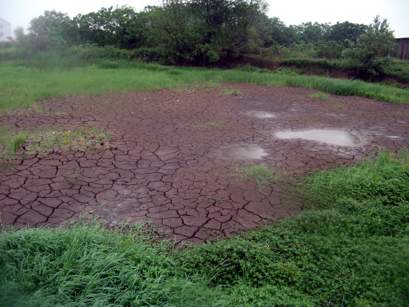 dscf1129.jpg