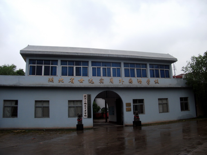 dscf1137.jpg