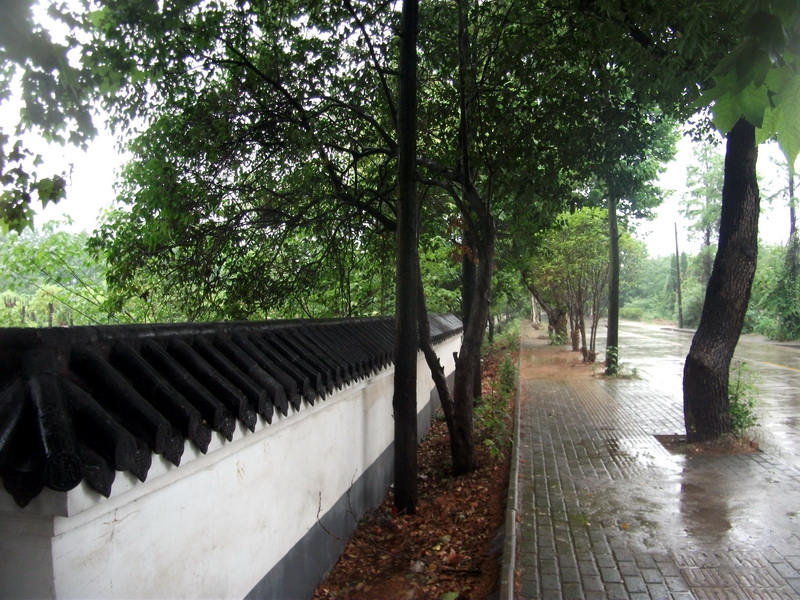 dscf1139.jpg