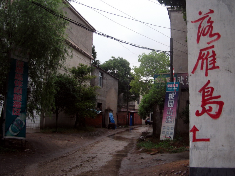 dscf1140.jpg