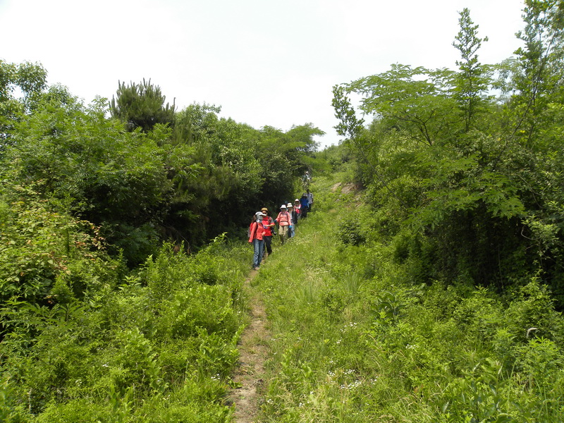 Ƭ 094.jpg