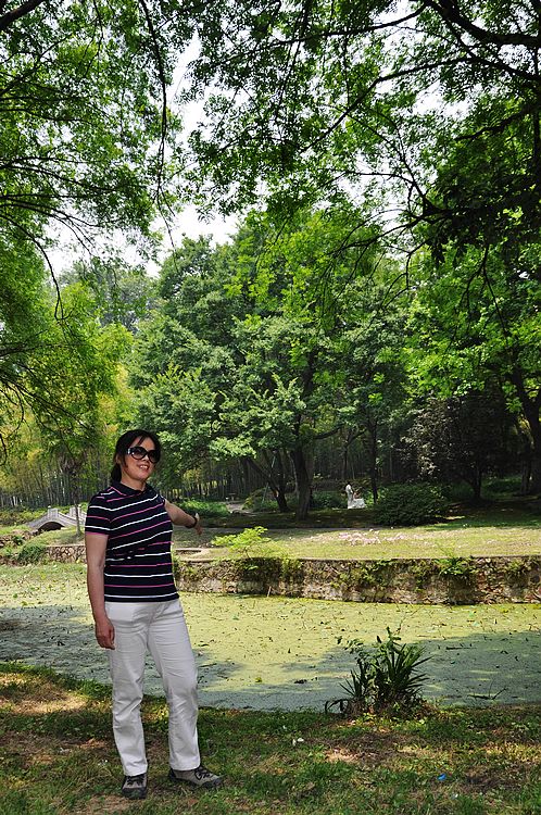 dsc_0212.jpg