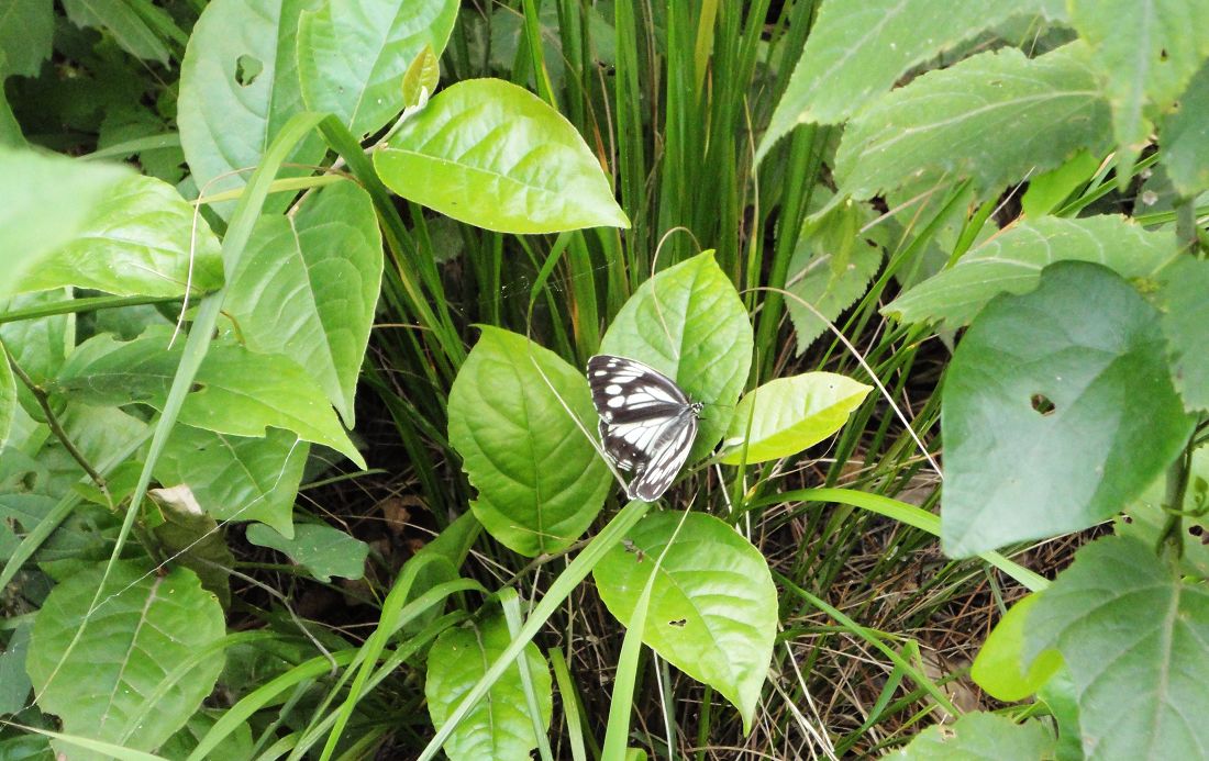 neo_img_dsc03090.jpg