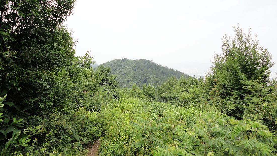 neo_img_dsc03116.jpg